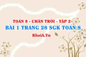 Bài 1 trang 28 Toán 8 Chân trời sáng tạo Tập 2